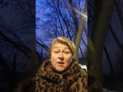Портал Николая Чудотворца