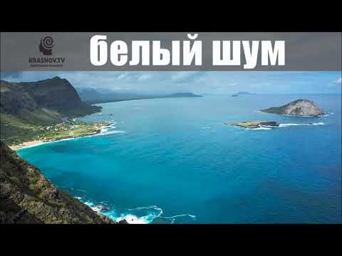 Белый шум тихий океан. Белый шум 8 часов