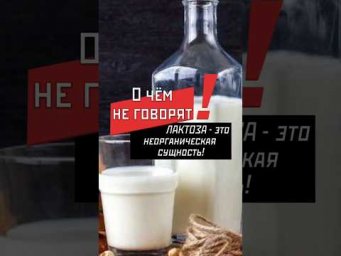 Лактоза  - это неорганическое существо