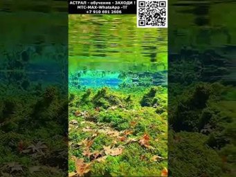 Красивый отдых на озере Релакс #красивый #позитивный #релакс #приятный #чудесный #вид #цветы #пейзаж