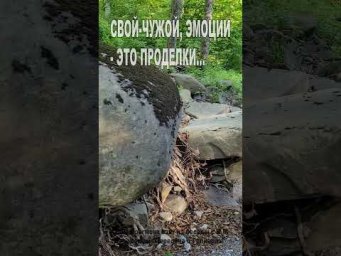 Свой-чужой, эмоции - это проделки... (144)