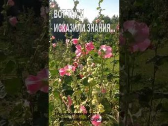 Вот так и исказили Знания... (168)