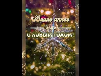 Новый год на французский лад!