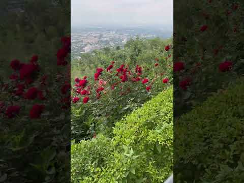 Казахстан Алматы город моего детства ❤️ Казахстан Алматы город моего детства ❤️