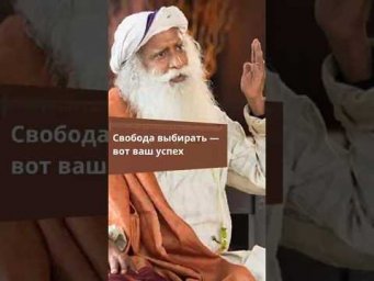 Свобода выбирать &mdash; вот ваш успех