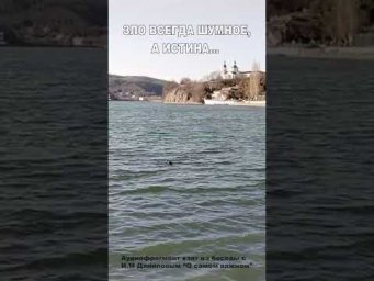Зло всегда шумное, а Истина... (5)