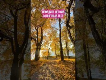 Легкий солнечный ТЕСТ, чтобы понять, чего вам не хватает и куда двигаться