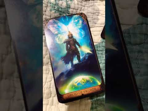 Стоит ли идти учиться? 