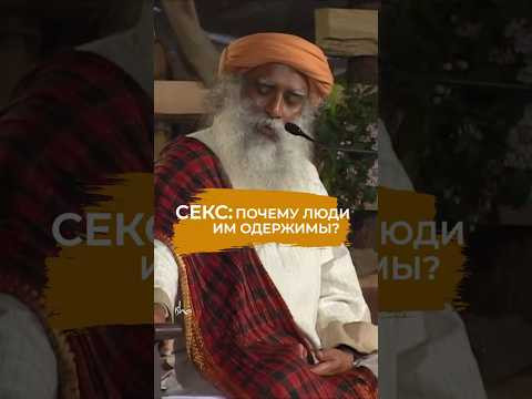 Секс: почему люди им одержимы? Секс: почему люди им одержимы?
