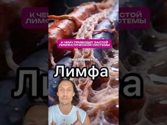 К чему проводит застой лимфатической системы ☝️