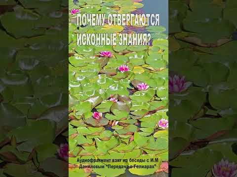 Почему отвергаются исконные Знания? (152)