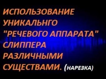 Использование уникального речевого аппарата слиппера различными существами. (нарезка фрагментов)