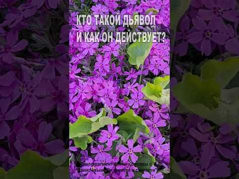 Кто такой Дьявол и как он действует? (34)