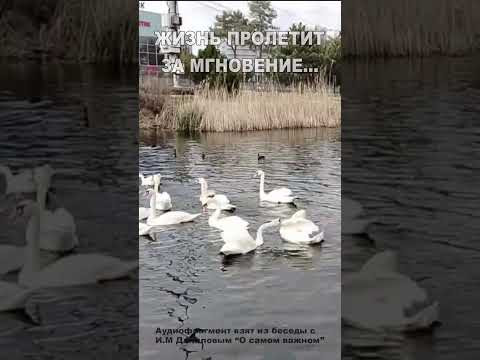 Жизнь пролетит за мгновение... (7)