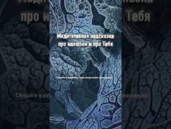 Архитектура иллюзий