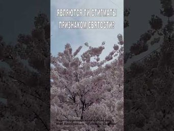 Являются ли стигматы признаком святости? (4)
