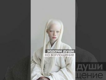 задачи души на воплощение