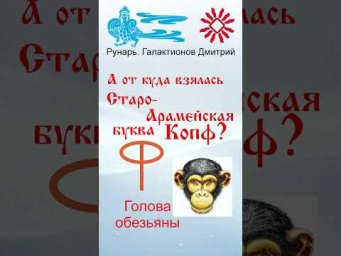 Еврейская Буква Копф, рождена от Руны Копа #Рунарь #Еврейская Азбука #Руны #ГалактионовДмитрий