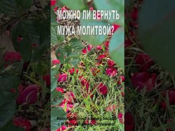 Можно ли вернуть мужа молитвой? (182)