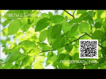 Ответы с бусти