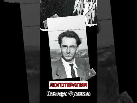 В поиске смысла жизни... В поиске смысла жизни...