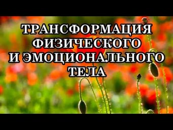 ТРАНСФОРМАЦИЯ ФИЗИЧЕСКОГО И ЭМОЦИОНАЛЬНОГО ТЕЛА. КАК ОБЛЕГЧИТЬ ДИСКОМФОРТ?