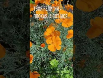 Твоя религия - плохая, а вот моя... (93)