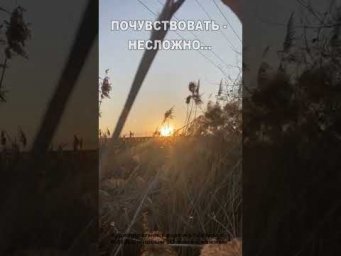 Почувствовать - несложно... (8)