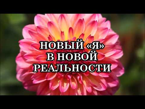 НОВЫЙ &laquo;Я&raquo; В НОВОЙ РЕАЛЬНОСТИ. С чего начать новую жизнь?