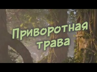 Магия природы