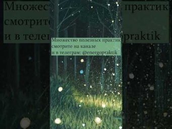 Эмоции и ощущения какая между ними взаимосвязь и как это использовать?