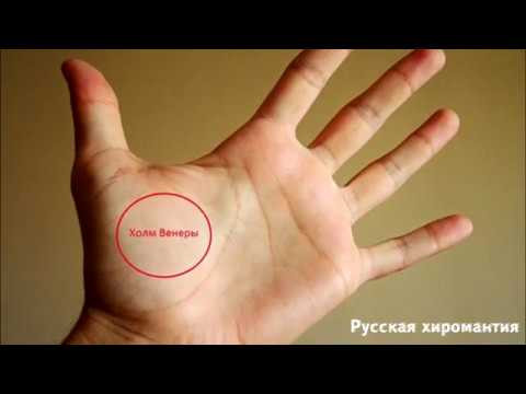 линии влияния на холме венеры. хиромантия линии влияния на холме венеры. хиромантия
