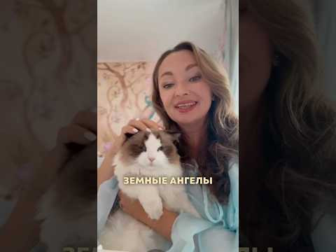 Наши Земные Ангелы Наши Земные Ангелы