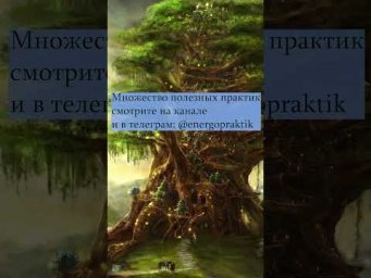 Как понять свой дар?  Умение входить в тонкий мир