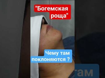 26 августа 2026 г.