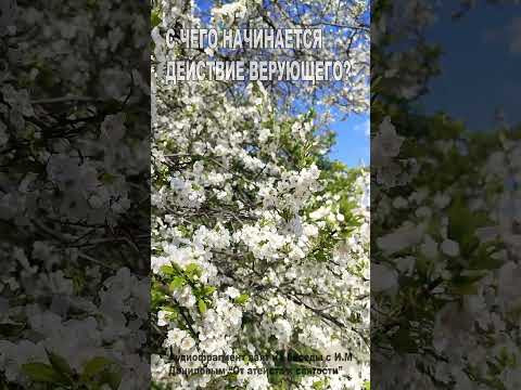 С чего начинается действие верующего? (41) С чего начинается действие верующего? (41)