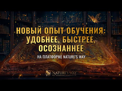 Навигация нового уровня: мгновенные переходы и прозрачный прогресс