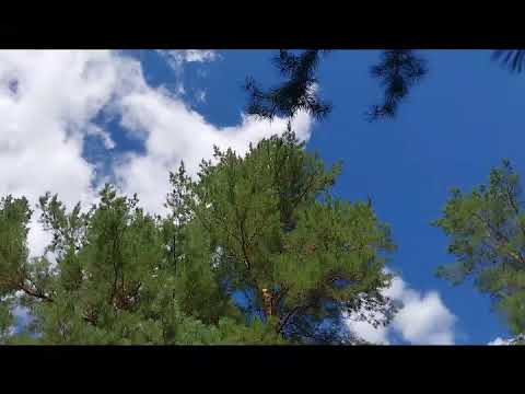 Я раньше думала, порчу надо заслужить.....