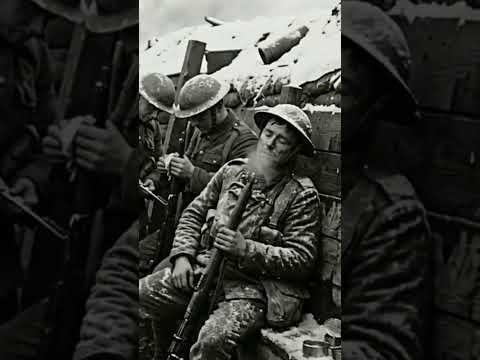Рождественское перемирие 1914 года