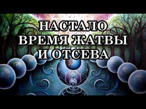 НАСТАЛО ВРЕМЯ ЖАТВЫ И ОТСЕВА. БЛИЖАЙШЕЕ БУДУЩЕЕ ЧЕЛОВЕЧЕСТВА И ПЛАНЕТЫ НАСТАЛО ВРЕМЯ ЖАТВЫ И ОТСЕВА. БЛИЖАЙШЕЕ БУДУЩЕЕ ЧЕЛОВЕЧЕСТВА И ПЛАНЕТЫ