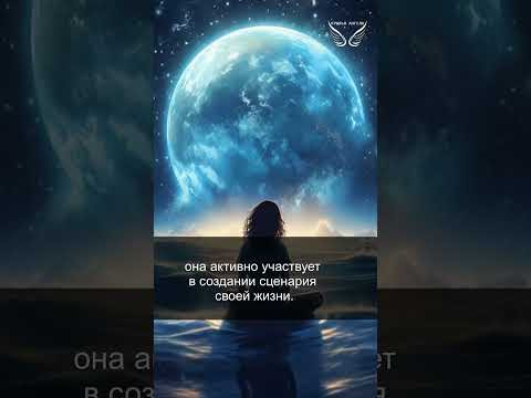 Дежавю. Этапы развития. Часть 2. Сценарий воплощения. 05/12