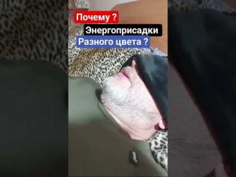 18 апреля 2026 г.