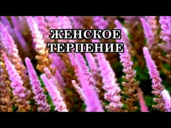 ЖЕНСКОЕ ТЕРПЕНИЕ &ndash; НЕОТЪЕМЛЕМЫЙ АТРИБУТ ЯСНОВИДЕНИЯ.  КАК ПРИМЕНЯТЬ СИЛУ ТЕРПЕНИЯ ГРАМОТНО?