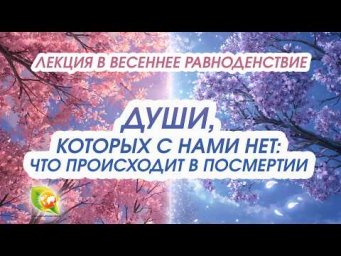 Души, которых с нами нет: что происходит после смерти и как это влияет на нас