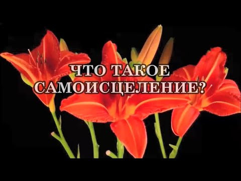 ЧТО ТАКОЕ САМОИСЦЕЛЕНИЕ. Как исцелять себя самостоятельно и какие механизмы для этого существуют.