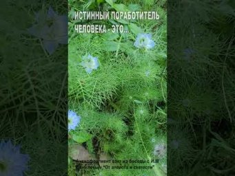 Истинный поработитель человека - это... (53)