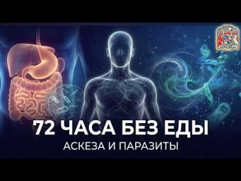 Паразиты в нашем теле: кто живёт за наш счёт?