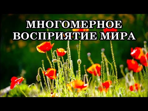 ОТКРЫВАЕТСЯ МНОГОМЕРНОЕ ВОСПРИЯТИЕ МИРА. КАК ЭТО ОЩУЩАЕТСЯ В ТЕЛЕ? ВХОЖДЕНИЕ В МНОГОМЕРНУЮ МАТРИЦУ ОТКРЫВАЕТСЯ МНОГОМЕРНОЕ ВОСПРИЯТИЕ МИРА. КАК ЭТО ОЩУЩАЕТСЯ В ТЕЛЕ? ВХОЖДЕНИЕ В МНОГОМЕРНУЮ МАТРИЦУ