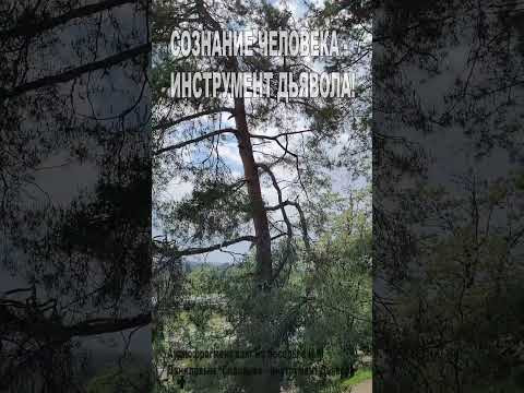 Сознание человека - инструмент Дьявола! (79)