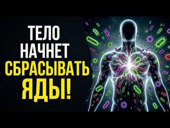 Вся грязь, бактерии, грибки, вирусы и паразиты выйдут из тела | Исцеление Звуком